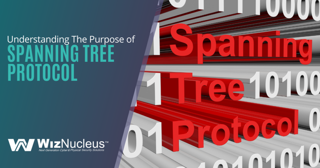 Understanding The Purpose of Spanning Tree Protocol