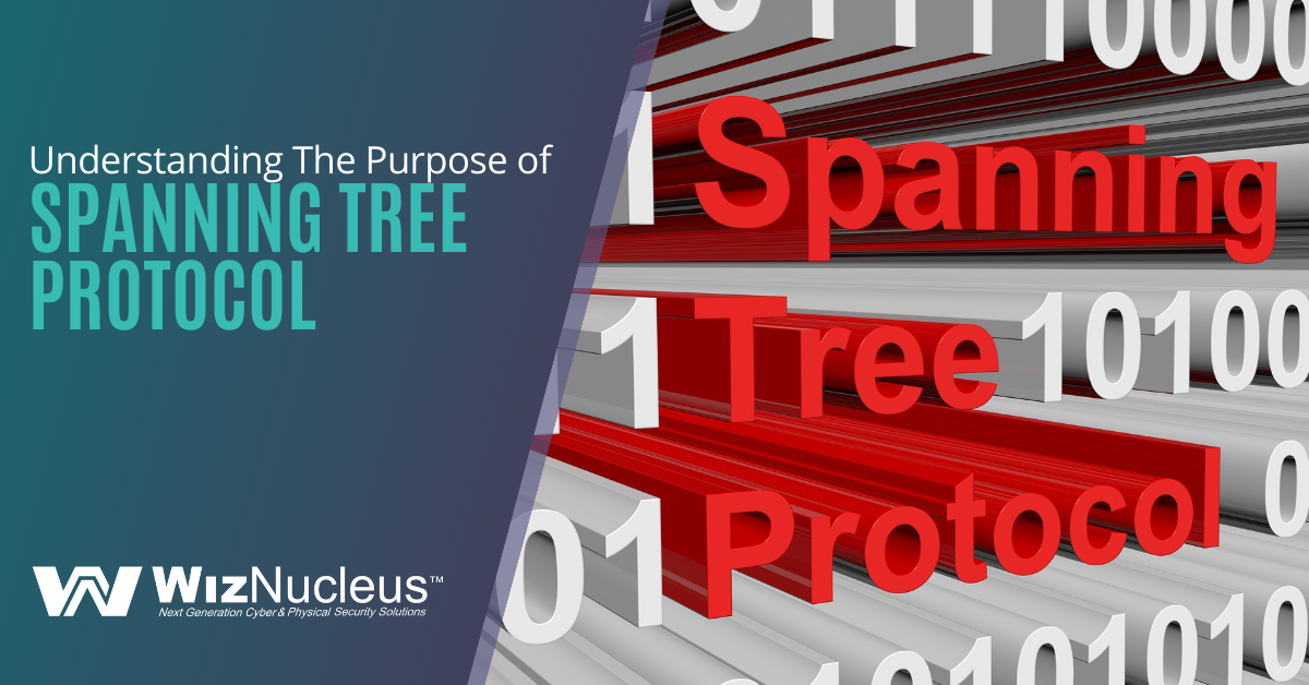 Understanding The Purpose of Spanning Tree Protocol - WizNucleus
